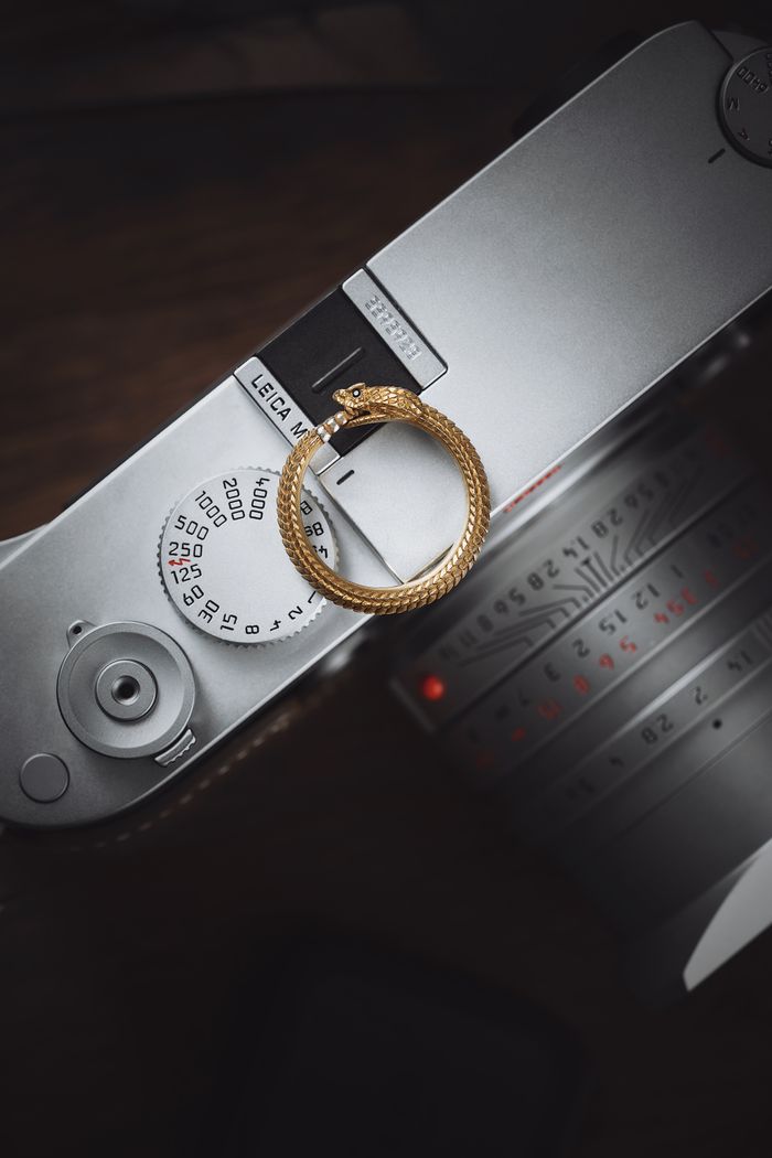 Gold snake ring elegantly placed on a vintage camera, creating a striking contrast.